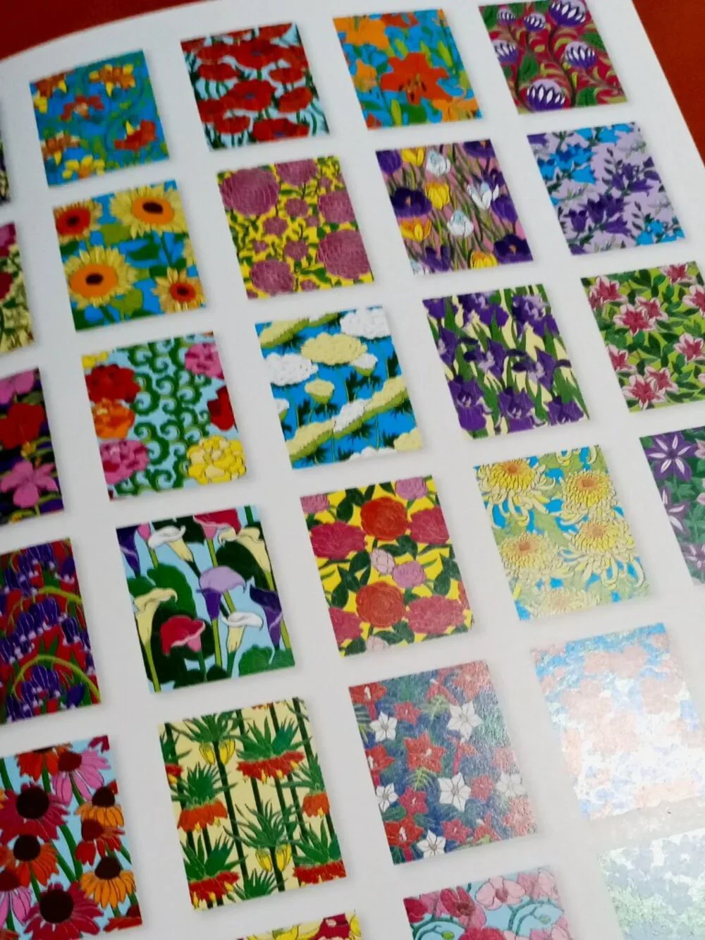 (x2) Colorama & Floral Design Color by Number Adult Coloring Books